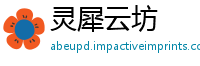 灵犀云坊